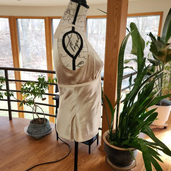 EXPRESS DESIGN STUDIO Shimmery Champaign Colored Fitted Cami - Picture 6 of 8